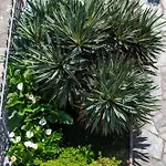 Residenza San Michele Appartement