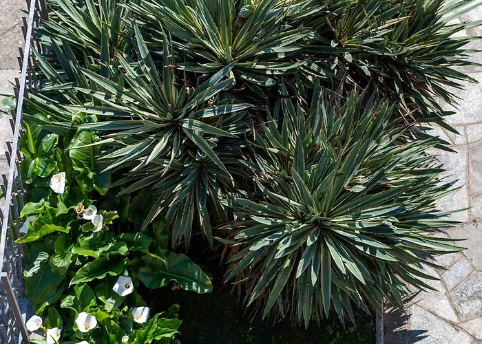 Residenza San Michele Daire